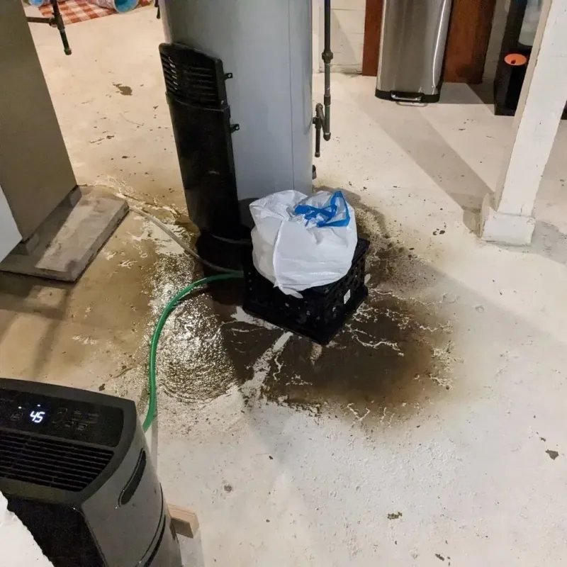Sewage Backup Cleanup Service in Brooks County, TX